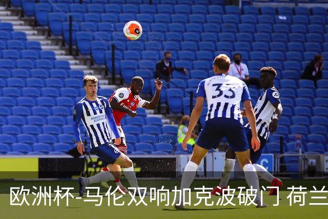 欧洲杯-马伦双响加克波破门 荷兰3-0罗马尼亚